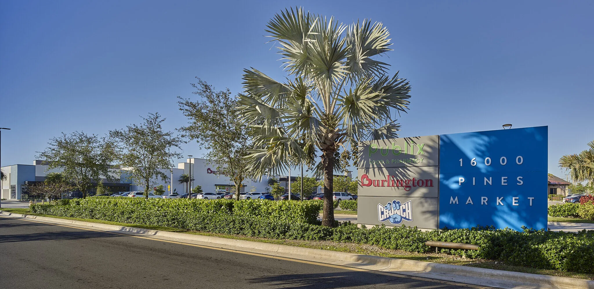 16000 Pines Market